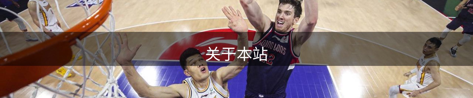 关于本站