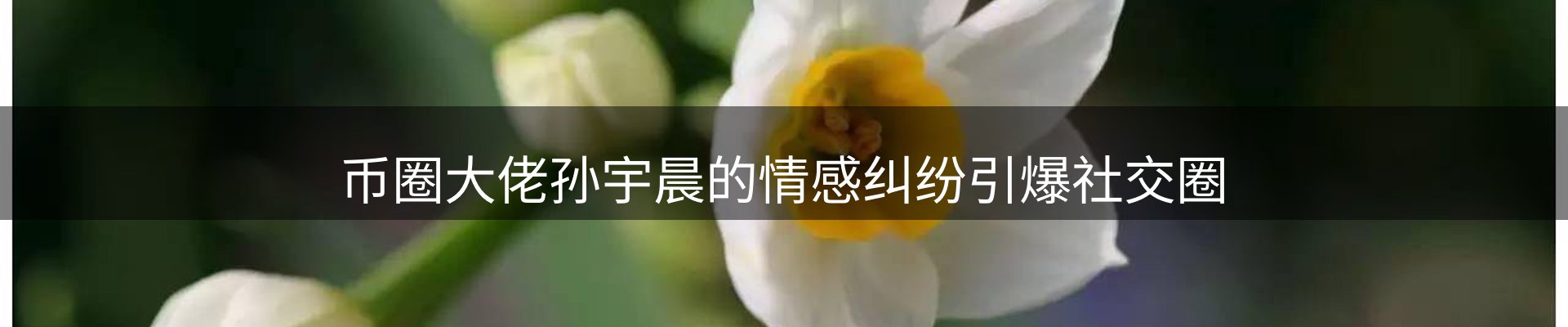 资讯展望