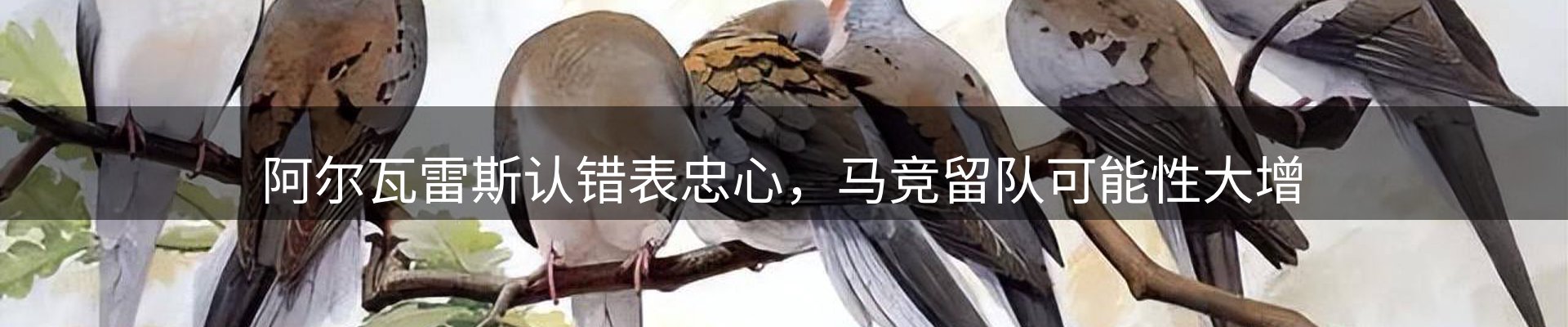 谈球吧要闻